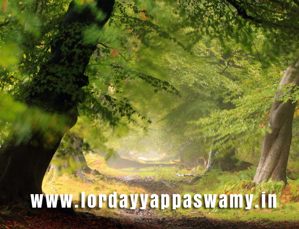 History of Lord Ayyappa Swamy website